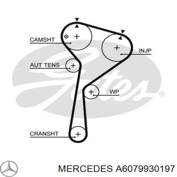 A6079930197 Mercedes Correia do mecanismo de distribuição de gás, kit