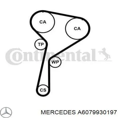 Correia do mecanismo de distribuição de gás, kit Mercedes A6079930197 preço, a partir de 140,86 USD