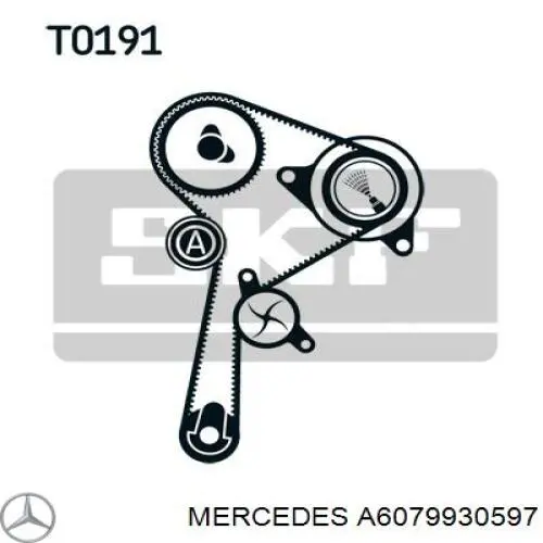 Correia do mecanismo de distribuição de gás, kit Mercedes A6079930597 preço, a partir de 81,00 USD