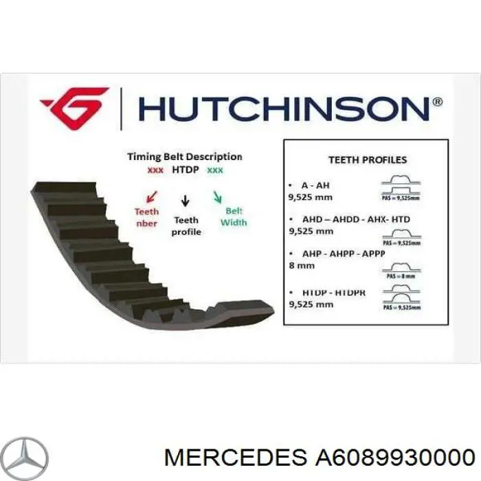 Compre 941162 Dayco Correia do mecanismo de distribuição de gás