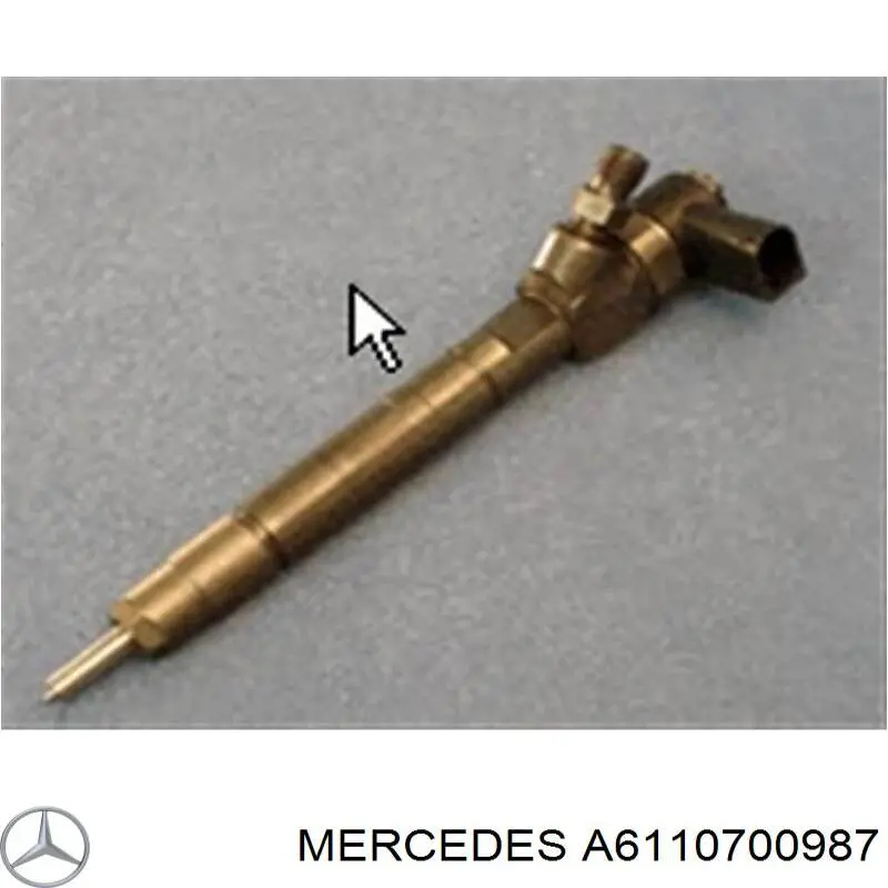 0445110071 Bosch Injetor de injeção de combustível