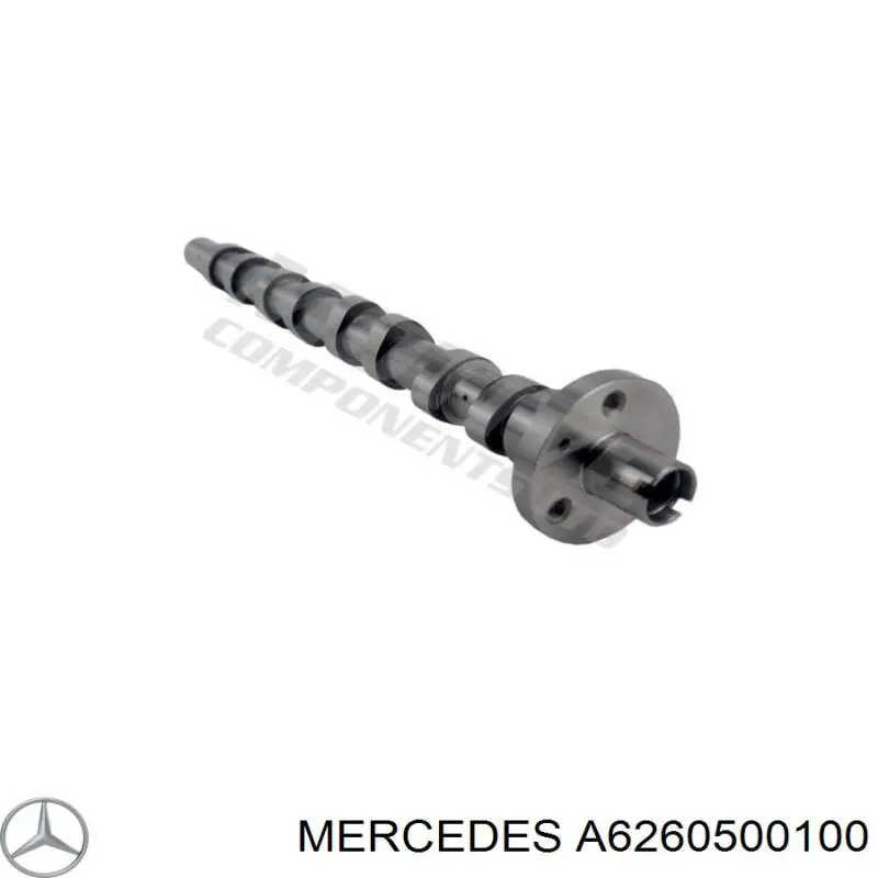 130015174R Renault (RVI) Árvore distribuidora de motor de escape