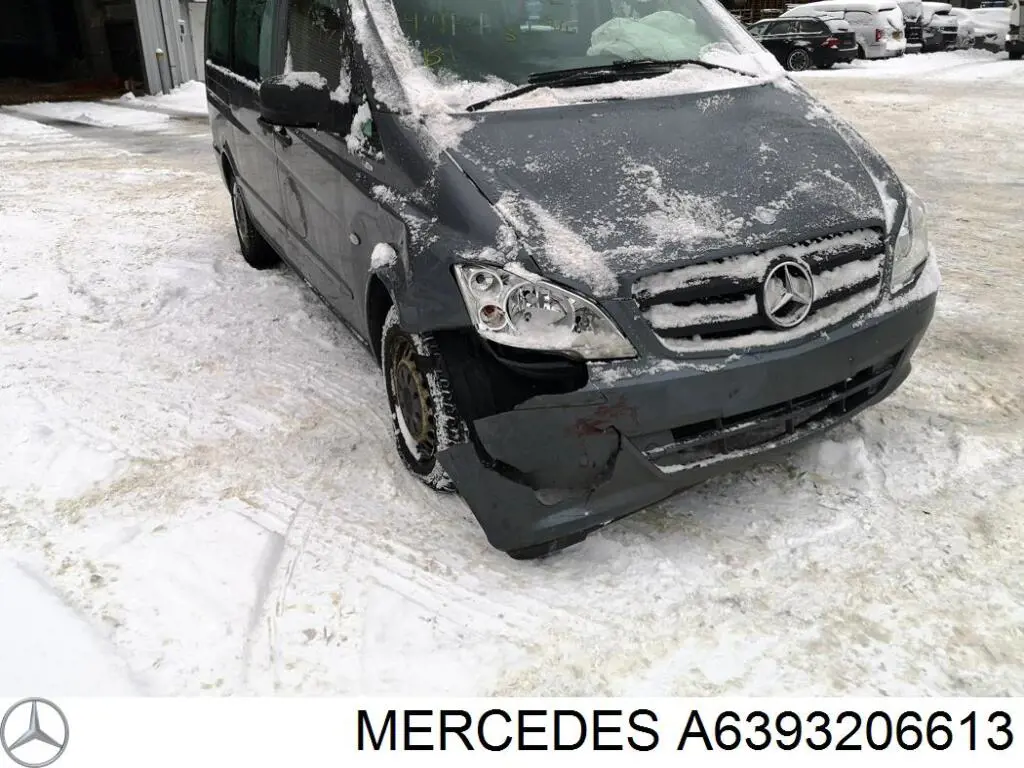 Amortecedor dianteiro Mercedes A6393206613