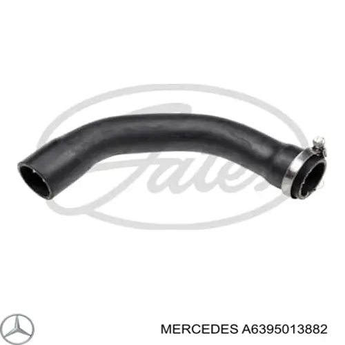 A6395013882 Mercedes Mangueira (cano derivado) inferior do radiador de esfriamento