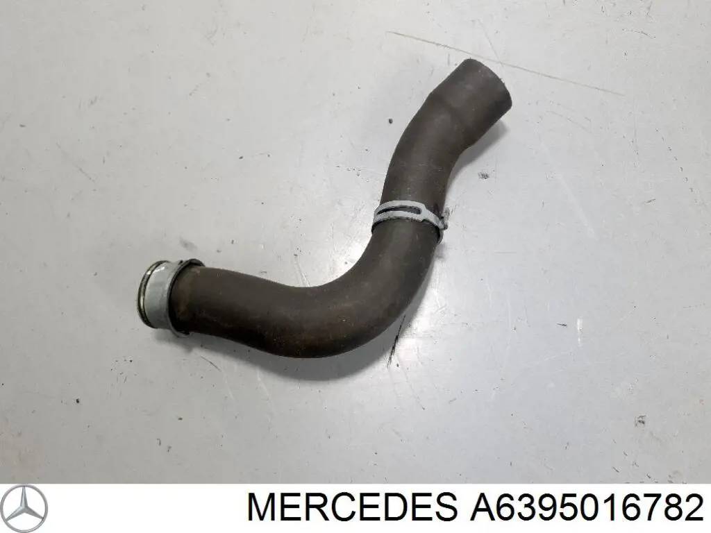 A6395016782 Mercedes Mangueira (cano derivado) inferior do radiador de esfriamento