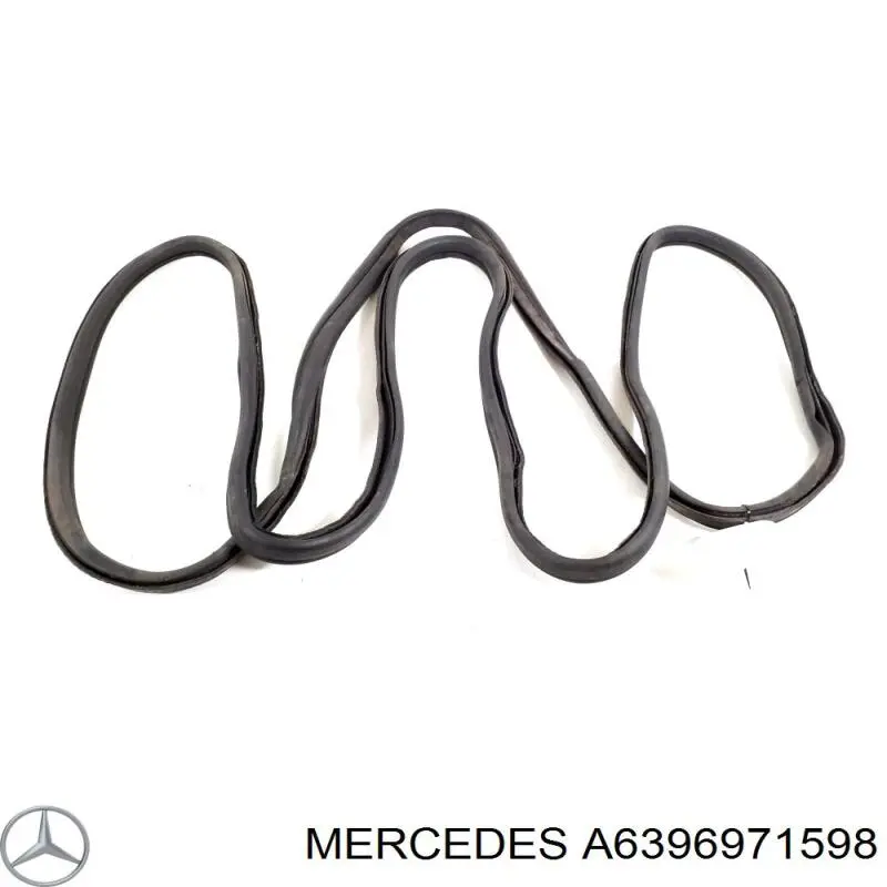 A6397410580 Mercedes 