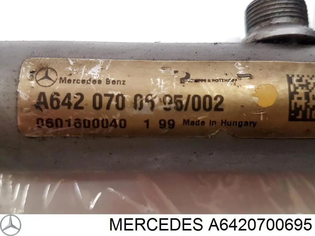 Compre A6420700695 Mercedes Distribuidor de combustível (rampa) direito