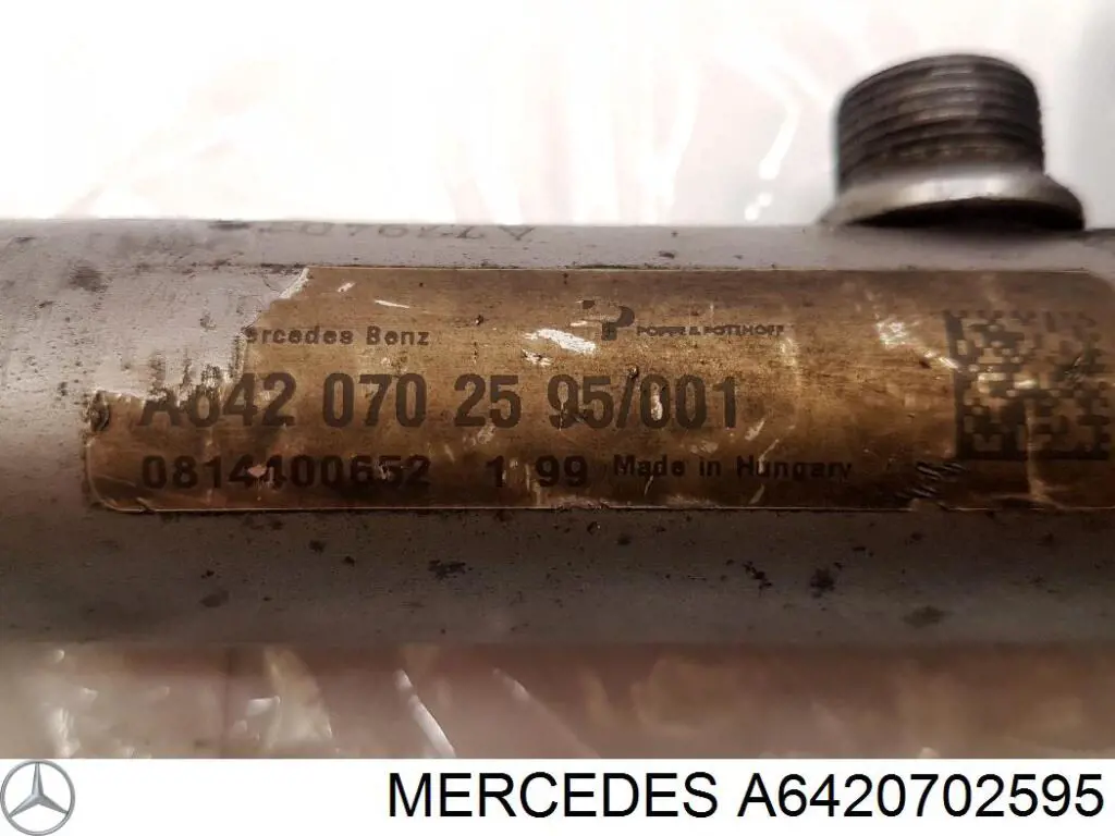 A6420702595 Mercedes Distribuidor de combustível (rampa) direito