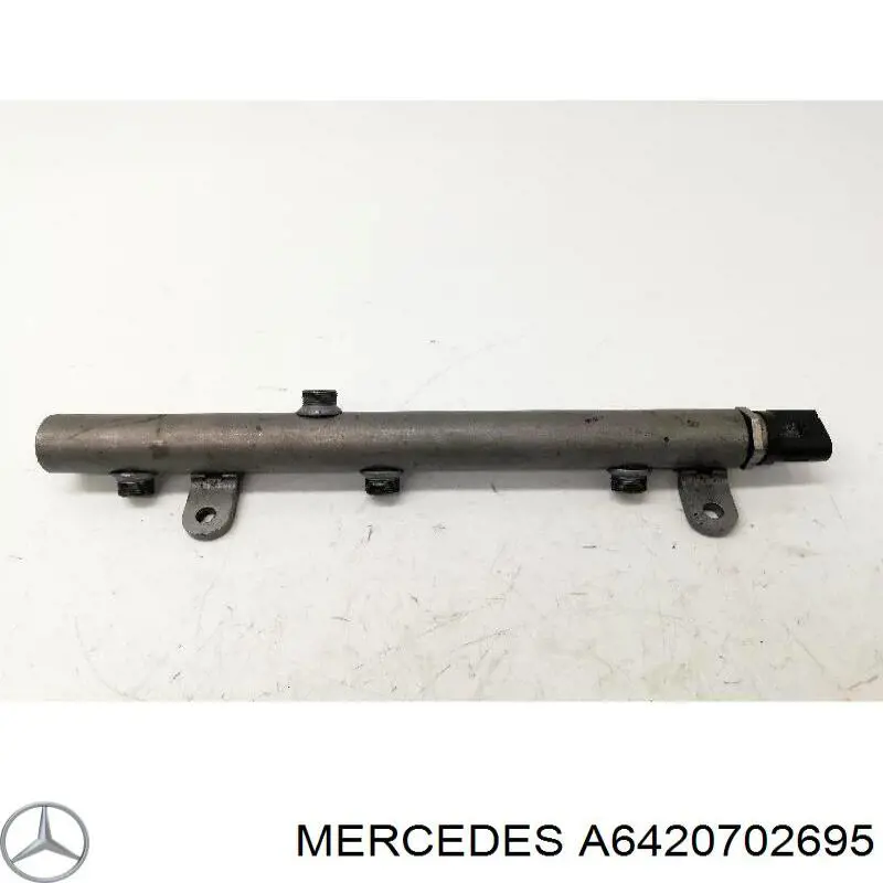 A6420702695 Mercedes Distribuidor de combustível (rampa) direito