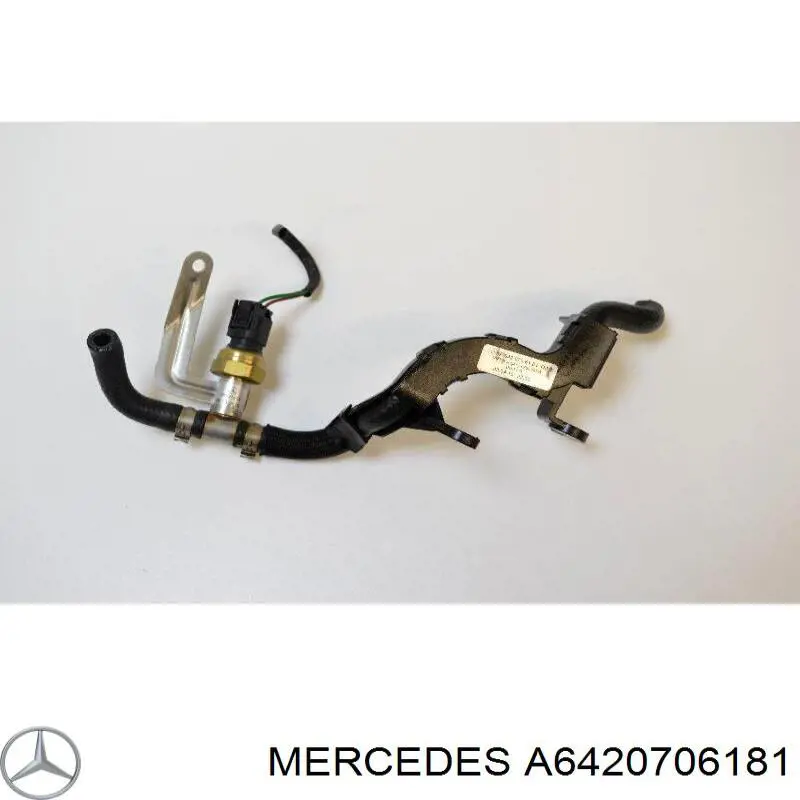 A6420706181 Mercedes Mangueira universal de combustível