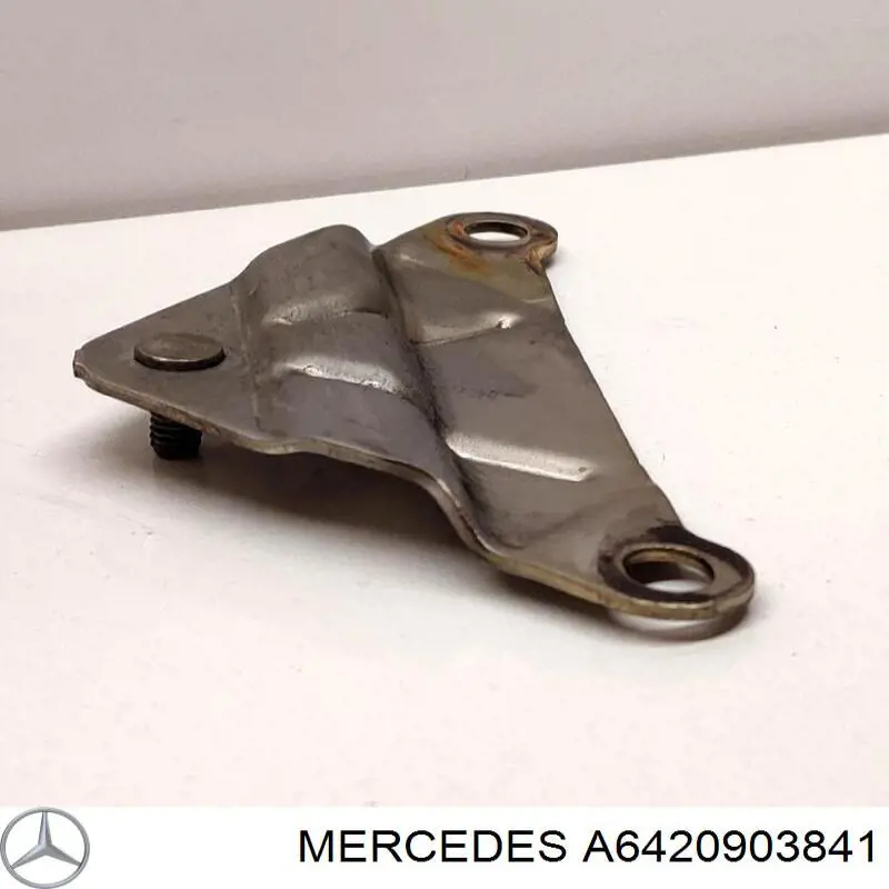 A6420903841 Mercedes 