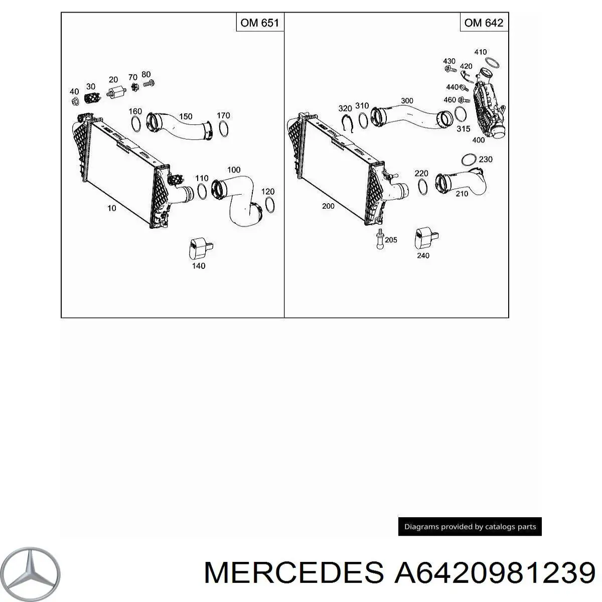 A6420981239 Mercedes 