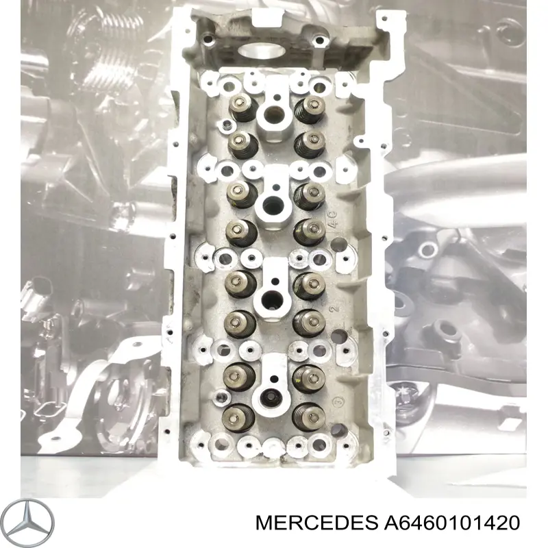 A6460101420 Mercedes Cabeça de motor (CBC)