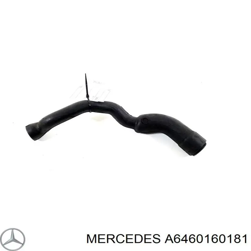 6460160181 Mercedes Cano derivado de ventilação de cárter (de separador de óleo)