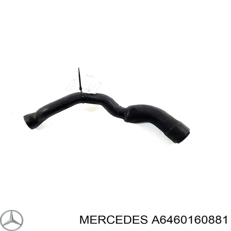 A6460160881 Mercedes Cano derivado de ventilação de cárter (de separador de óleo)