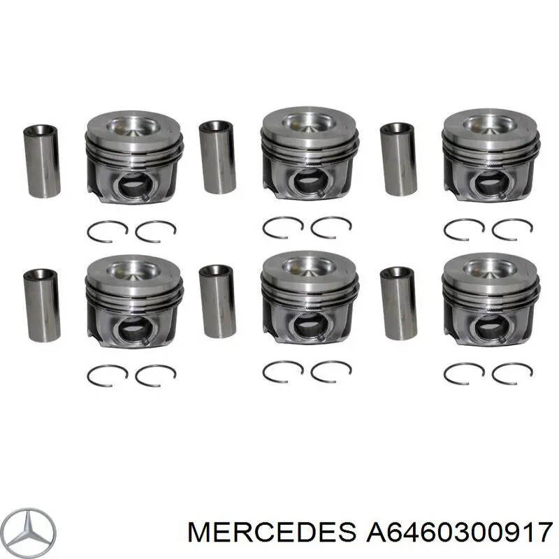 Pistão do kit para 1 cilindro, STD 8772532STD Nural