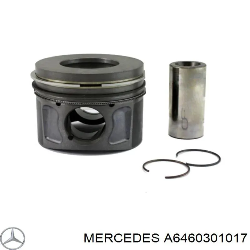 Compre A6460301017 Mercedes Pistão do kit para 1 cilindro, STD