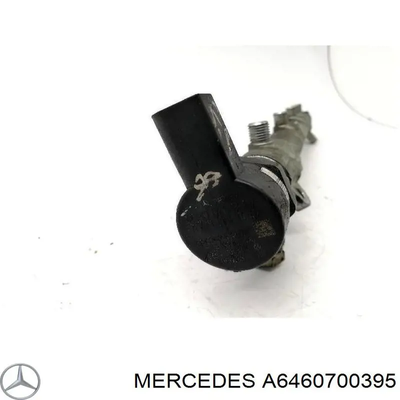 Compre A6460700395 Mercedes Distribuidor de combustível (rampa)