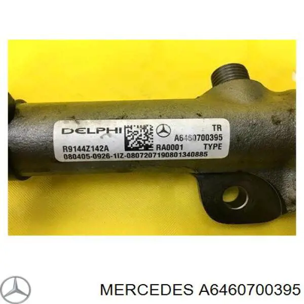A6460700395 Mercedes Distribuidor de combustível (rampa)