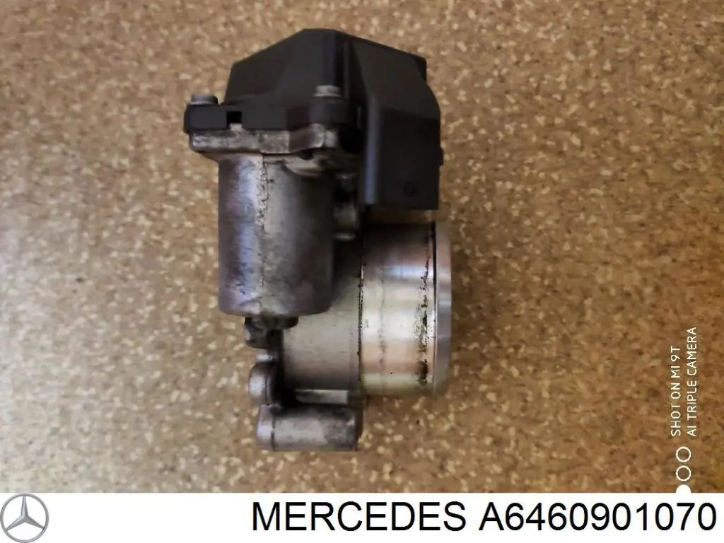 A6460901070 Mercedes Válvula de borboleta montada