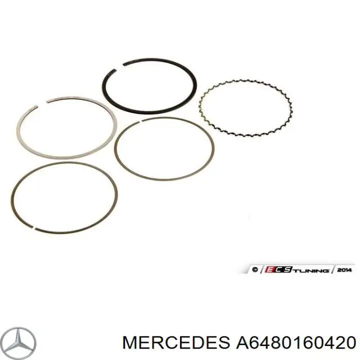 Compre A6480160420 Mercedes Vedante de cabeça de motor (CBC)