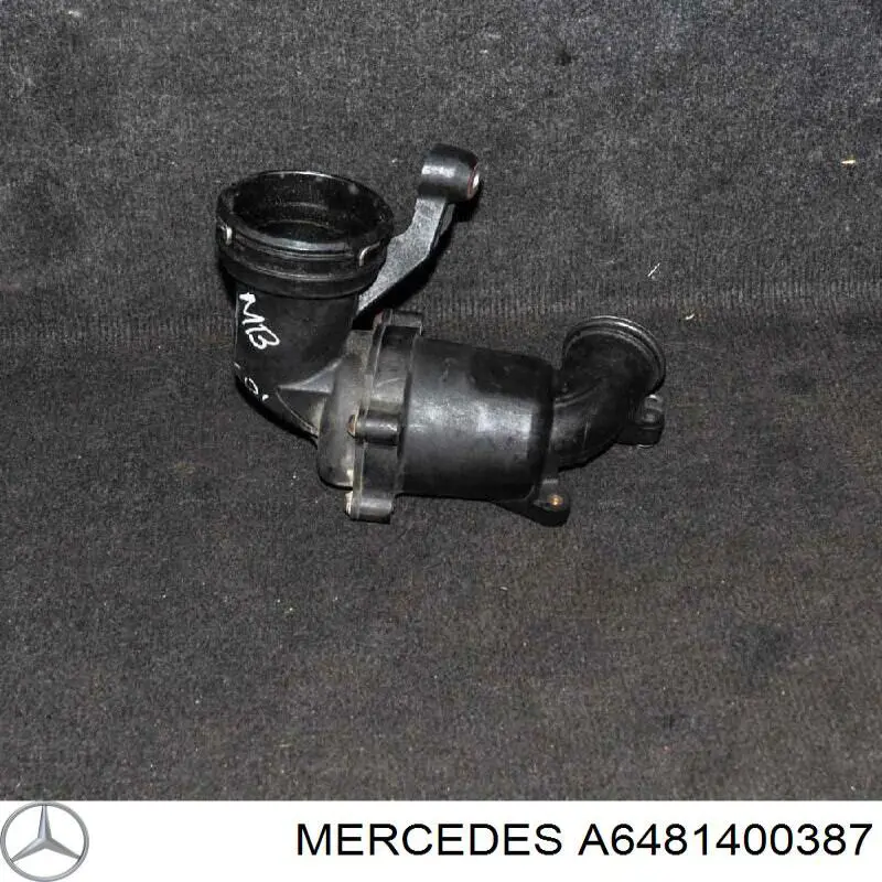 A6481400387 Mercedes Mangueira (cano derivado) de intercooler