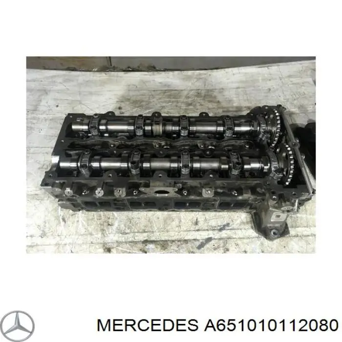 6510101120 Mercedes Cabeça de motor (CBC)