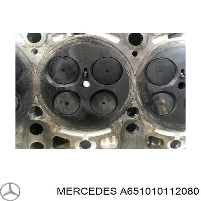Compre 6510101120 Mercedes Cabeça de motor (CBC)