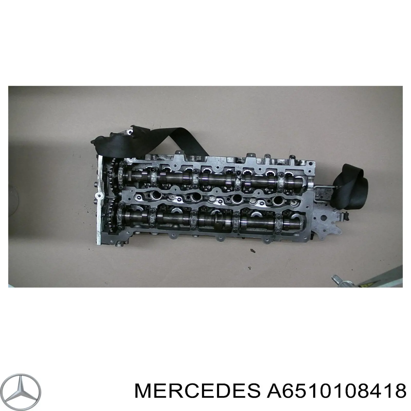 Compre 50003126 Kolbenschmidt Cabeça de motor (CBC)