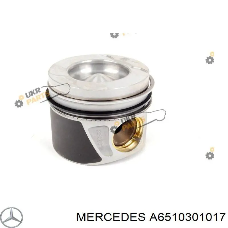 A6510301017 Mercedes Pistão do kit para 1 cilindro, STD