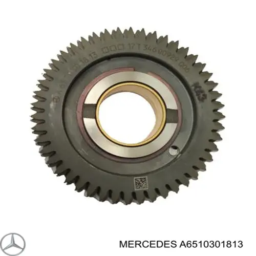A6510301813 Mercedes Engrenagem de cadeia da roda dentada da árvore distribuidora de motor