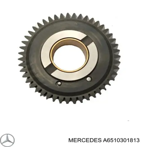 Engrenagem de cadeia da roda dentada da árvore distribuidora de motor Mercedes A6510301813 preço, a partir de 254,80 USD