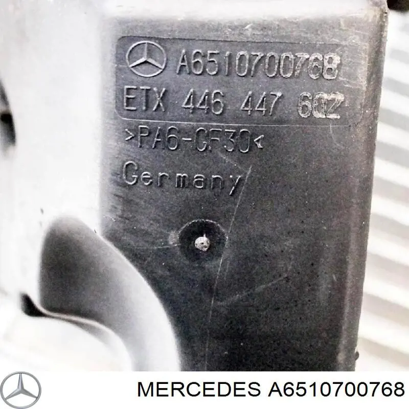 Compre A6510700768 Mercedes Tanque de recepção a vácuo de motor