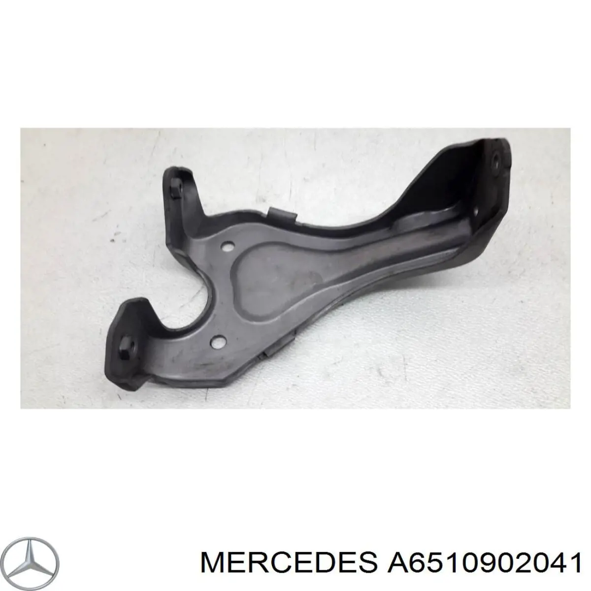 A6510902041 Mercedes 