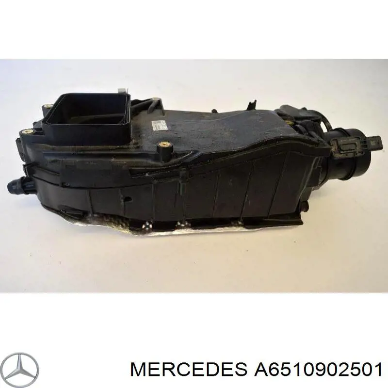 Compre A6510902501 Mercedes Caixa de filtro de ar