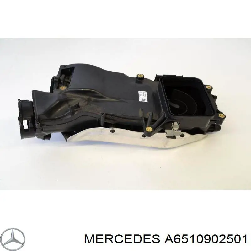 A6510902501 Mercedes Caixa de filtro de ar
