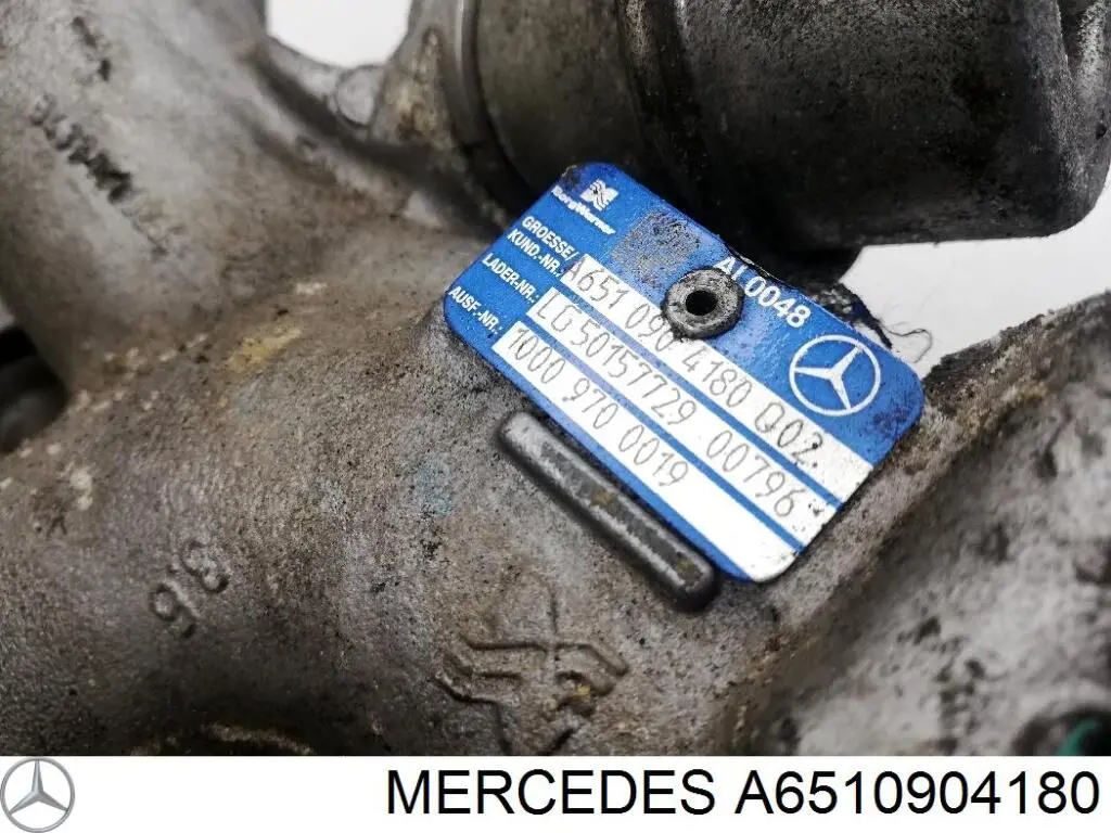  Borg-Warner 10009880019