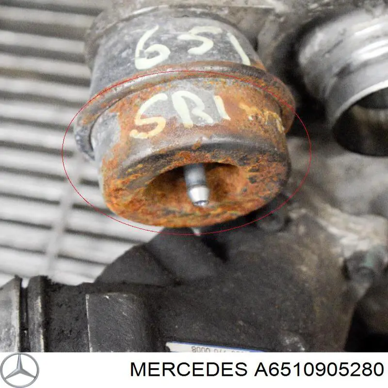 54399700075 Borg-Warner Turbina
