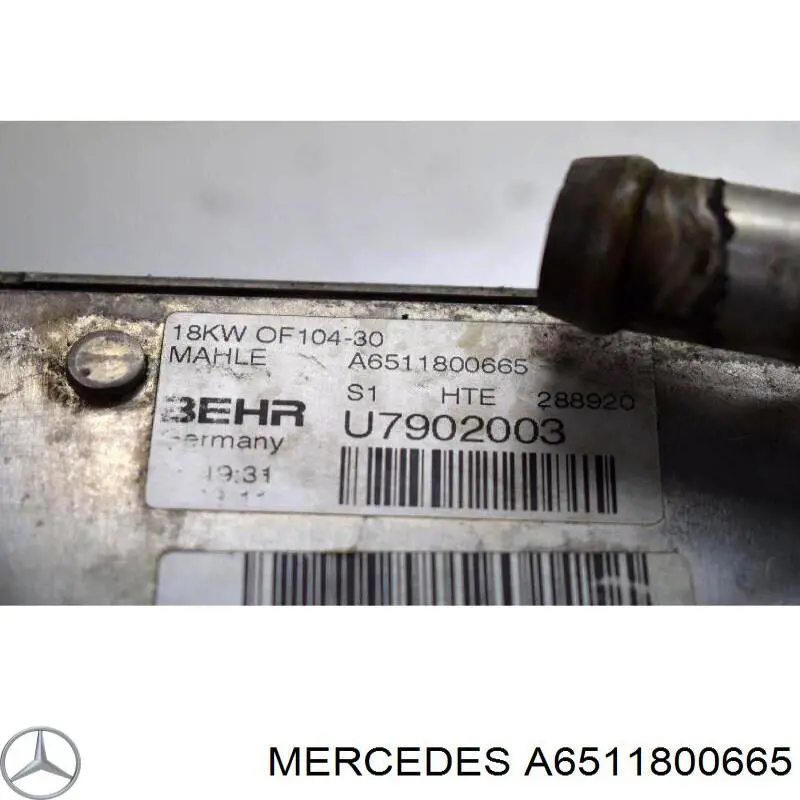 Radiador de óleo A6511800665 Mercedes