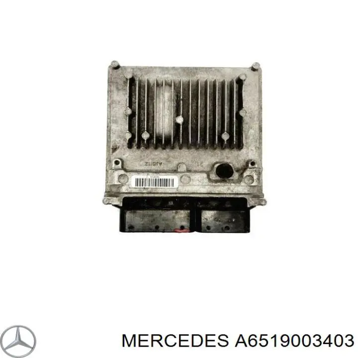 6519003403 Mercedes 