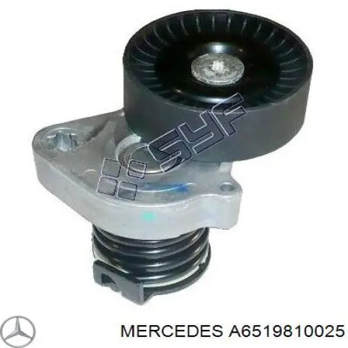 A6519810025 Mercedes 