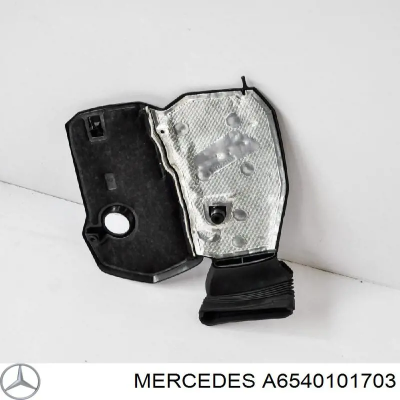 A6540101703 Mercedes Tampa de motor decorativa
