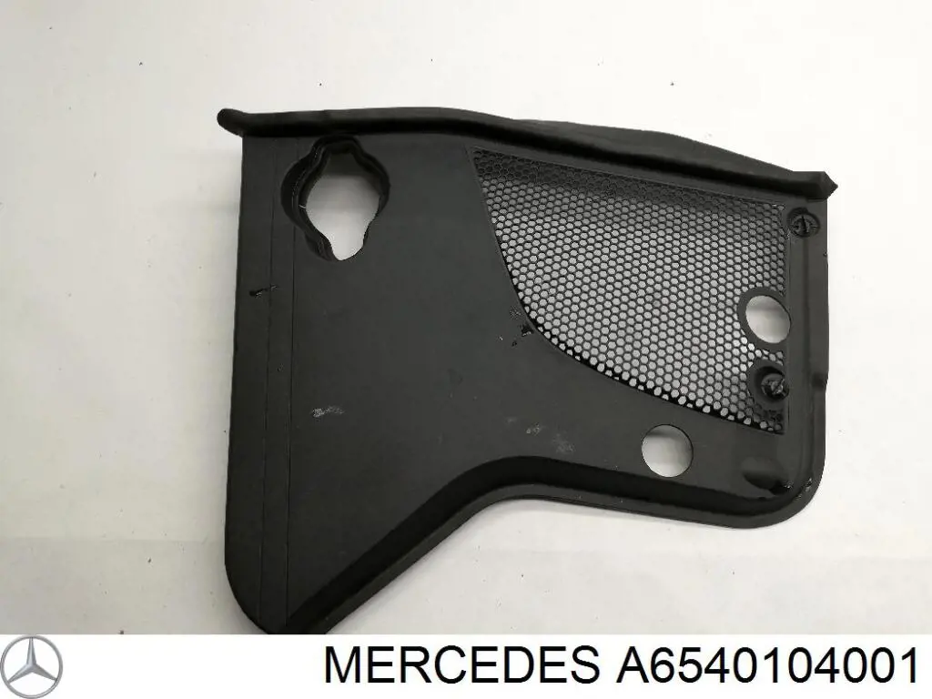 A6540104001 Mercedes Tampa de motor decorativa