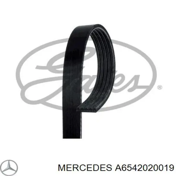 A6542020019 Mercedes Rolo parasita da correia de transmissão