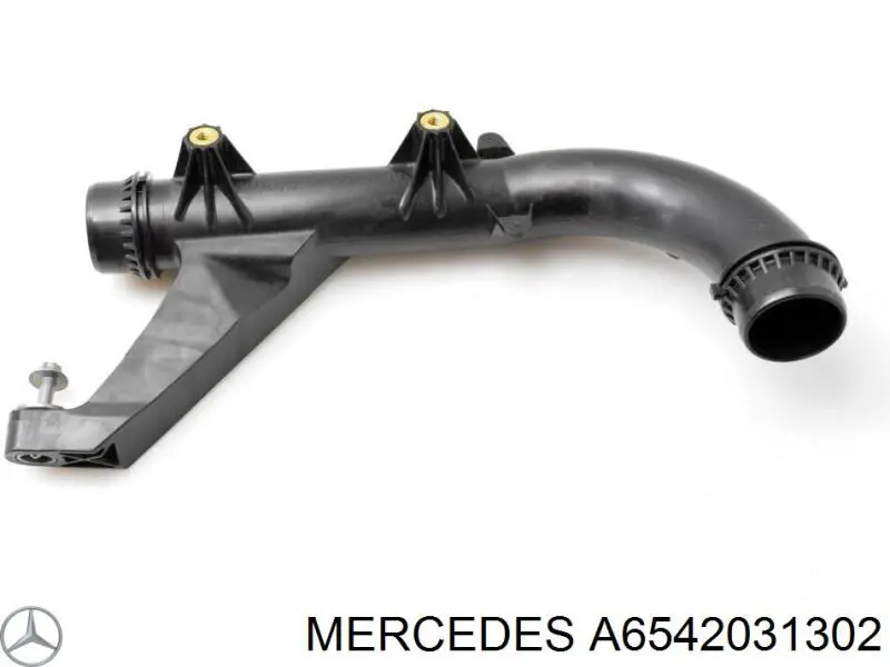 6542031302 Mercedes 