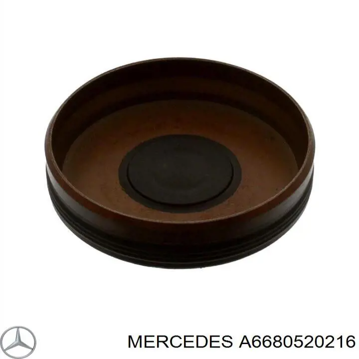 A6680520216 Mercedes Amortecedor de cadeia do mecanismo de distribuição de gás