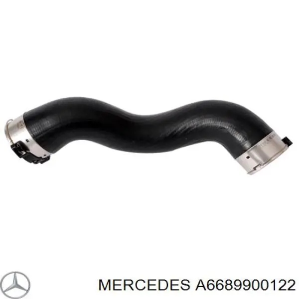 Compre A6689900122 Mercedes Parafuso de cabeça de motor (CBC)