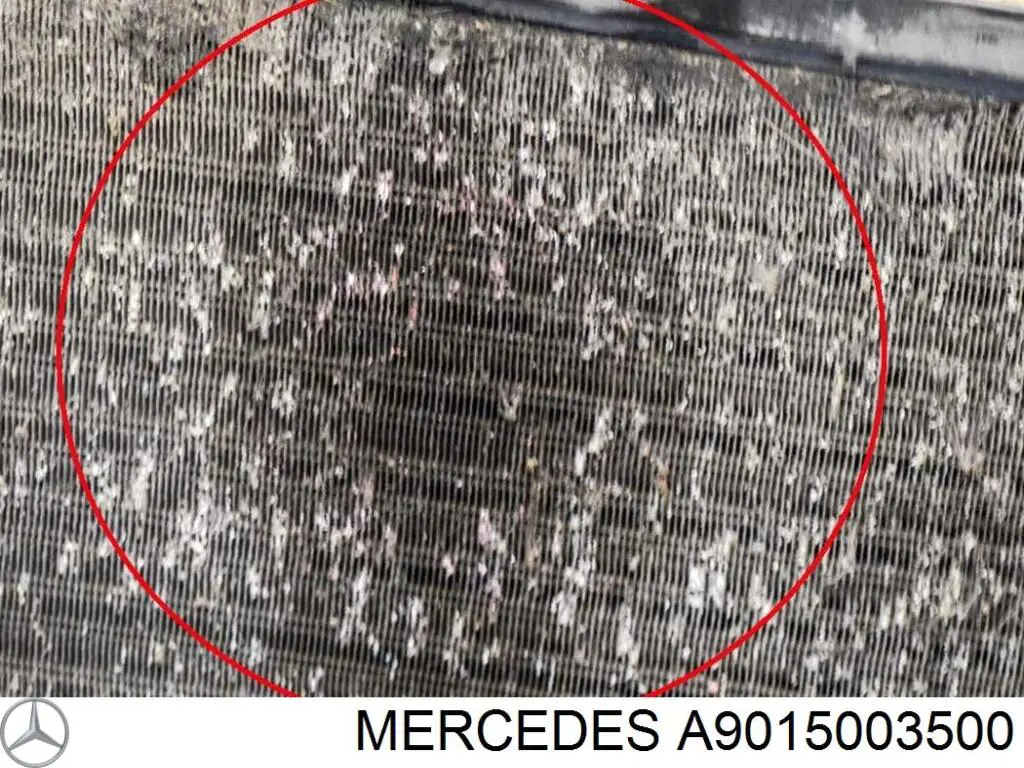 Compre A9015003500 Mercedes Radiador de esfriamento de motor