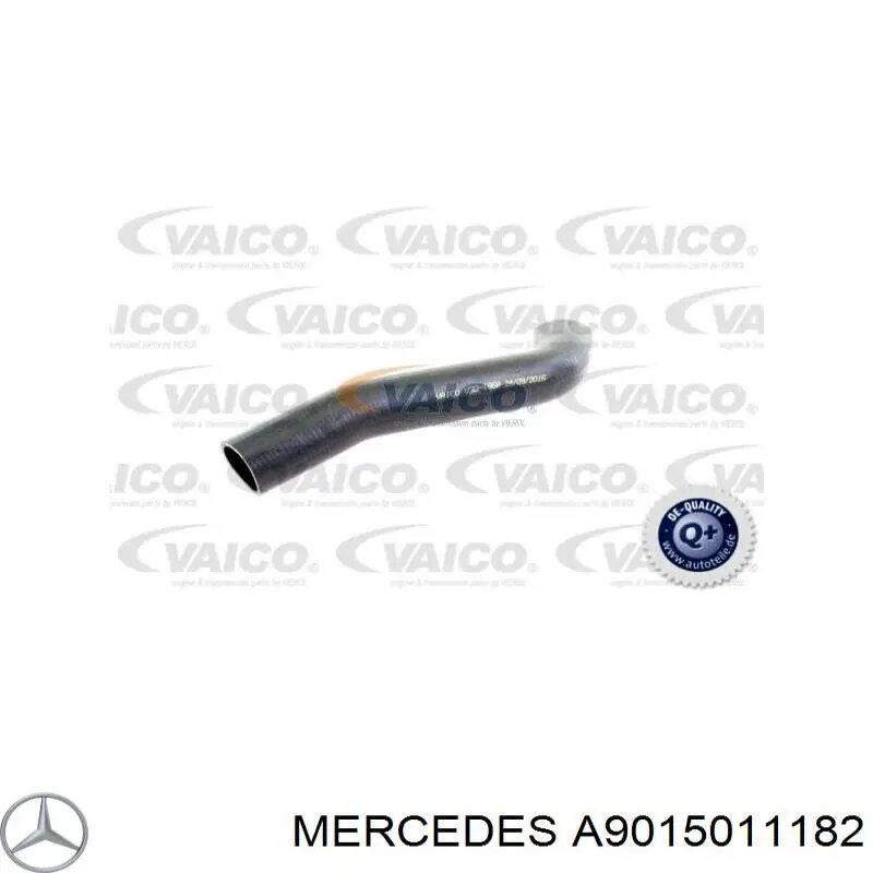 A9015011182 Mercedes Mangueira (cano derivado) inferior do radiador de esfriamento