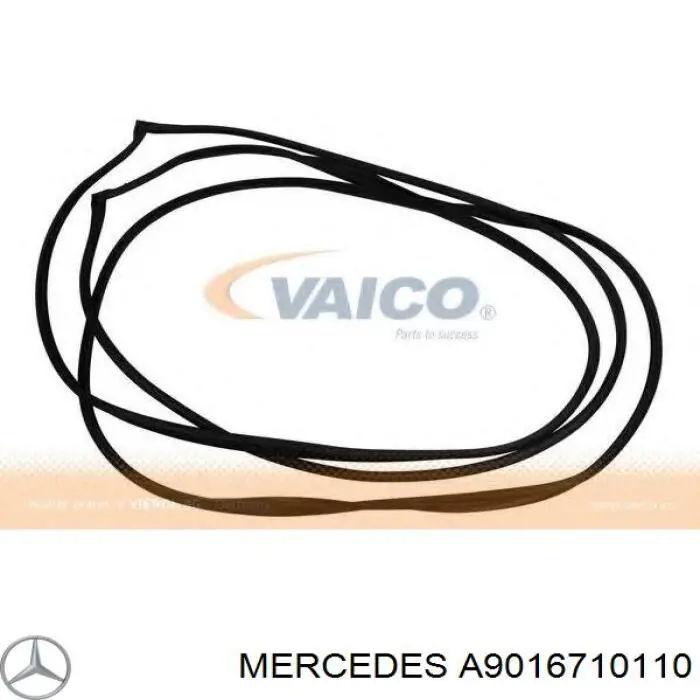 A9016710110 Mercedes Pára-brisas